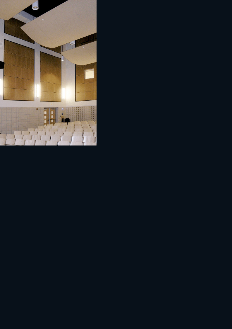 Micro-Perforated Acoustic Wood Panel